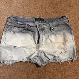 Torrid shorts